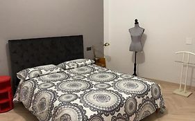 Zebra'S House